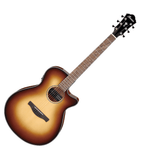 Ibanez AEG50 - DHH Acoustic Guitar W/Pick - Up Dark Honey Burst - 4549763230966