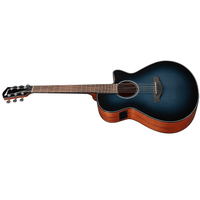 Ibanez AEG50 - IBH AEG Series Acoustic Electric Guitar - 4549763230942