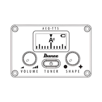 Ibanez AEG50 - IBH AEG Series Acoustic Electric Guitar - 4549763230942