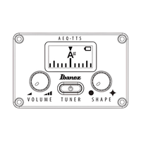 Ibanez AEG5012 - BKH Series Acoustic Electric Guitar In Black - 4549763280923