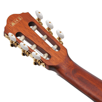 Ibanez AEG50N - NT Classic Acoustic Electric Guitar Natural - 4549763231024