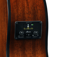 Ibanez AEG50N - NT Classic Acoustic Electric Guitar Natural - 4549763231024