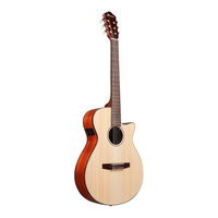 Ibanez AEG50N - NT Classic Acoustic Electric Guitar Natural - 4549763231024