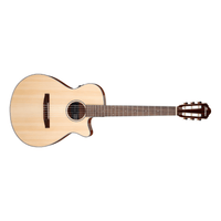 Ibanez AEG50N - NT Classic Acoustic Electric Guitar Natural - 4549763231024