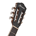 Ibanez AEG7TN - NT Classical Acoustic Electric Guitar w/ EQ Natural - 4549763231024