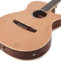 Ibanez AEG7TN - NT Classical Acoustic Electric Guitar w/ EQ Natural - 4549763231024