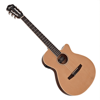Ibanez AEG7TN - NT Classical Acoustic Electric Guitar w/ EQ Natural - 4549763231024