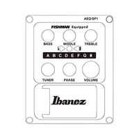 Ibanez AEWC11 - DVS Acoustic Guitar Dark Violin Sunburst High Gloss - 4549763280756