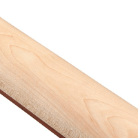 Ibanez AZES40 - AZES PRB Electric Guitar - 840262251815