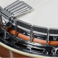 Ibanez B200 5 - String Banjo - 4515276628606