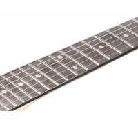 Ibanez GRG121DX - WNF Gio Electric Guitar Walnut Flat - 4515276760139