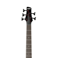 Ibanez GSR205-WNF Soundgear 5-String Electric Bass Guitar (Walnut Flat) - 4515276639077