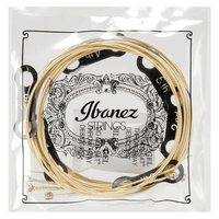 Ibanez IACS6C Acoustic Guitar Strings - 6 Set - 4515276641278