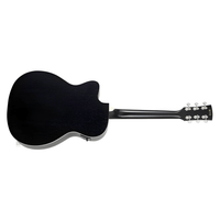 Ibanez PC14MHCE - WK PF Series Acoustic Guitar - 4549763266330