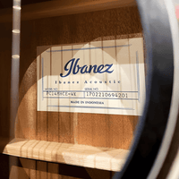 Ibanez PC14MHCE - WK PF Series Acoustic Guitar - 4549763266330