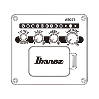 Ibanez PCBE12MH - OPN Acoustic Bass Guitar - Open Pore Natural - 4515276638780