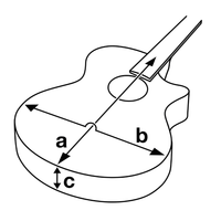 Ibanez PCBE12MH - OPN Acoustic Bass Guitar - Open Pore Natural - 4515276638780