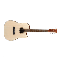 Ibanez PF10CE Acoustic Electric Guitar w/ Pickup - Open Pore Natural - 4549763198754