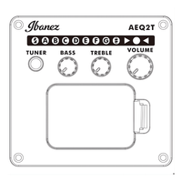 Ibanez PF10CE Acoustic Electric Guitar w/ Pickup - Open Pore Natural - 4549763198754