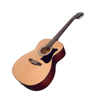 Ibanez V54NJP Acoustic Guitar Starter Pack - 4549763265814