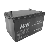 Ice LCR12V12AH Lead Acid Battery 12V 12Ah - 