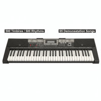 Keynote Keyboard PKN - 95U 61 Key Standard with the Lighting - 