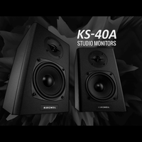 Kurzweil KS40A 4