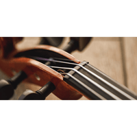 Leem Violin 4/4 Strings Full Set - 