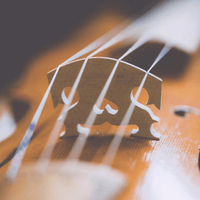 Leem Violin 4/4 Strings Full Set - 