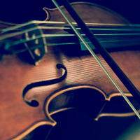 Leem Violin 4/4 Strings Full Set - 