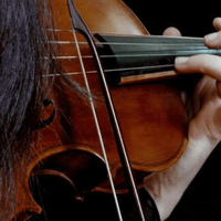 Leem Violin 4/4 Strings Full Set - 
