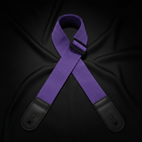 Levy's M8POLY-PRP Classics Series Polypropylene Guitar Strap - Purple - 734990682310