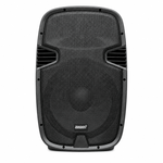 Lexsen LX - 15T Cabinet Passive Speaker 15
