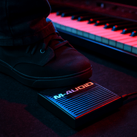 M - Audio SP - 1 Sustain Pedal for Keyboards - 612391650001