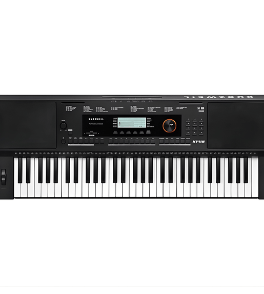 Medeli M361 61 - Key Portable Keyboard - Black - 6009519501040