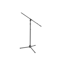 Microphone Stand with Boom Arm - 