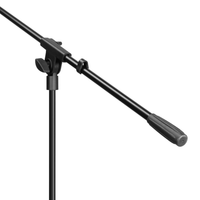 Microphone Stand with Boom Arm - 