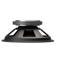 Nexus 12 - 250 Loose Speaker 12