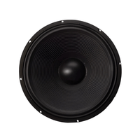 Nexus 12 - 250 Loose Speaker 12