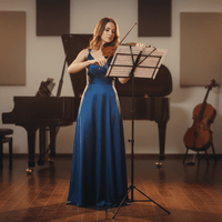 On Stage SM7122BB Compact Sheet Music Stand with Bag - Black - 659814298570