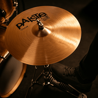 Paiste 0000154014 201 Bronze Drum Cymbal 14