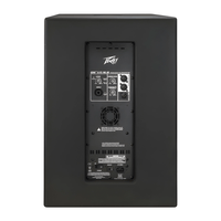 Peavey DM 115 SUB Powered Subwoofer 15