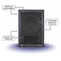 Peavey DM 115 SUB Powered Subwoofer 15