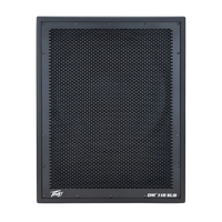 Peavey DM 118 SUB Powered Subwoofer 18