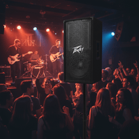 Peavey PV 112 2 - Way Passive Sound Reinforcement Loudspeaker - 0014367133585