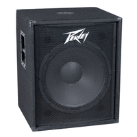 Peavey PV 118 18