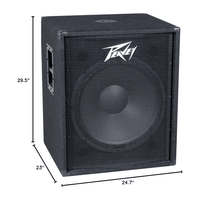 Peavey PV 118 18