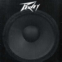 Peavey PV 118 18