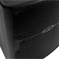 Peavey PVX 10 800W 10 - inch Passive Speaker - 0014367660135