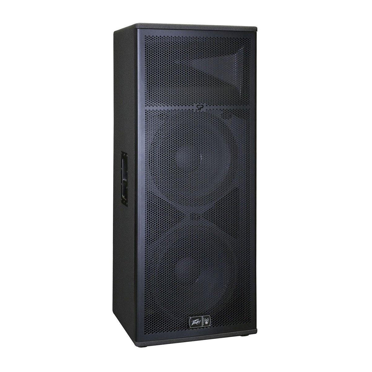 Peavey SP BX Passive Dual 15